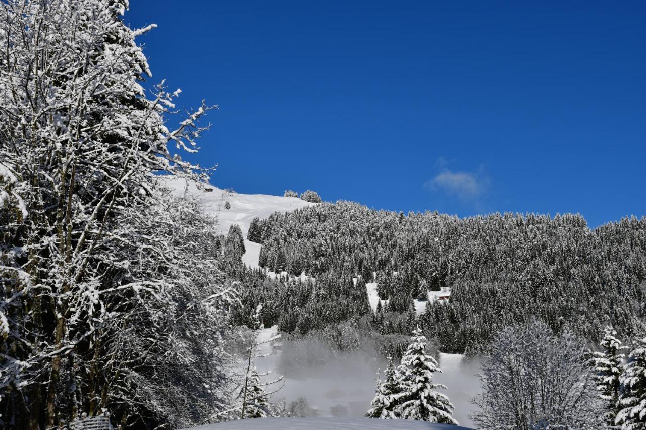 Chalet Orlando Les Gets Εξωτερικό φωτογραφία